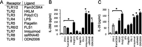 Tlr3 7 8 And 9 Induce Human Ifn ␭ Gene Expression In Human