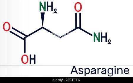 Asparagine (L-asparagine, Asn, N) amino acid molecule. Skeletal formula ...