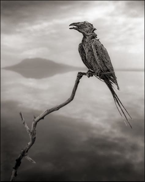Lake Natron - Tanzania's Petrifying Lake - Unusual Places