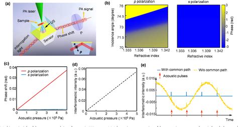 Figure 1 From Ultrasensitive Broadband Photoacoustic Microscopy Based On Common Path