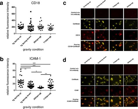 Quantification Of Surface Bound Cd And Icam Of Primary Human