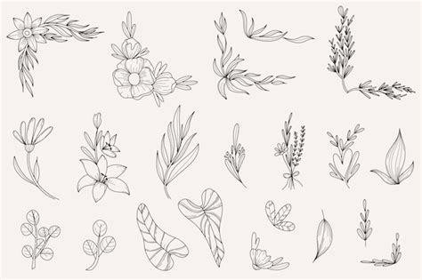 Flowers Borders Hand Drawn Line Botanical Elements Frames Floral Decor