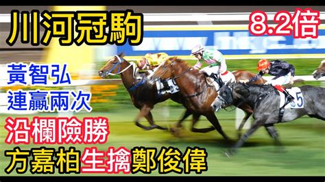 川河冠駒g139黃智弘方嘉柏沙田賽馬凱旋門頭馬相現場版 6月4日 第9場 方嘉柏生擒鄭俊偉 O Youtube