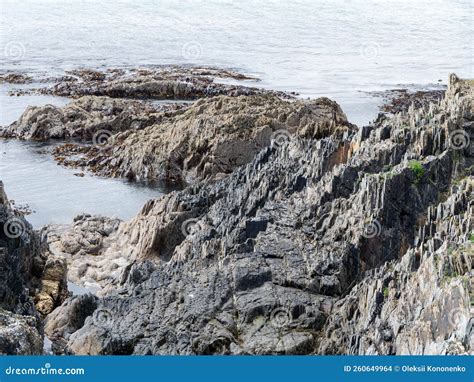 Exposed Rocks On The Shore Seaside In Sunny Weather Rock Stock Photo