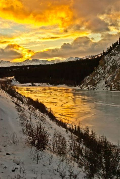 Denali Photographer Snaps Winner Of Weekly Photograph Contest Denali