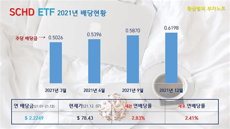 20화 Schd Etf 100주 적립하면 배당금이 얼마