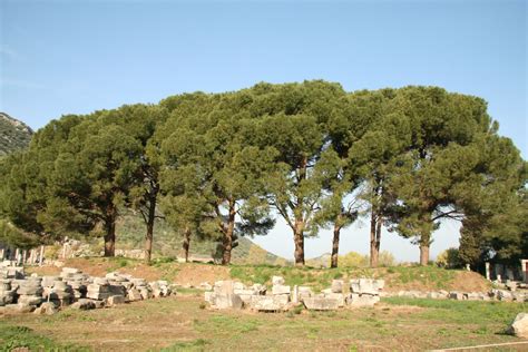 Turkey Ephesus Ruins Free Stock Photo - Public Domain Pictures