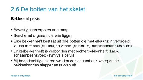 Module Anatomie En Fysiologie Hoofdstuk 2 Het Bewegingsstelsel