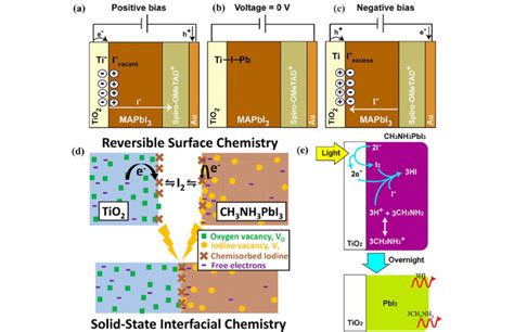 Diagram Representing Iodide Migration And Chemical Species Present At