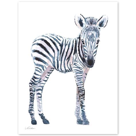 Baby Zebra Watercolor Print Baby Nursery Prints By Luke Kanelov