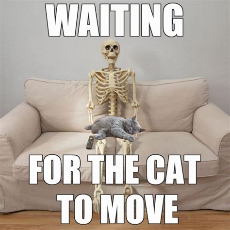 25 Funny Skeleton Waiting Memes That Will Make You Laugh