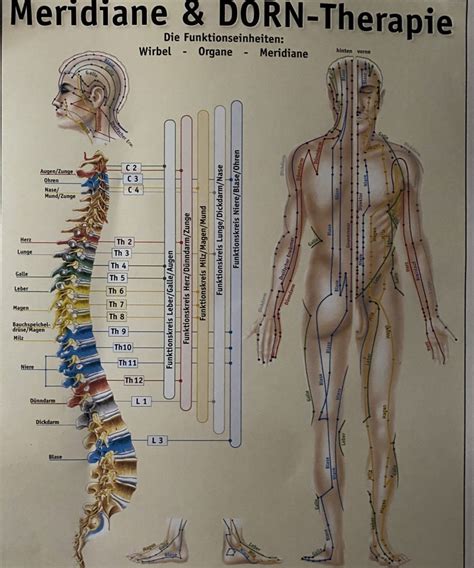 Breuss Massage Naturheilpraxis Susanne Wieloch