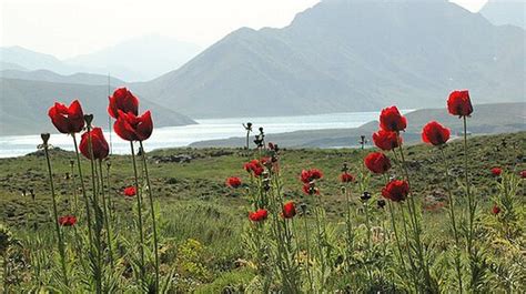 Golestan Province Photos Featured Images Of Golestan Province Iran