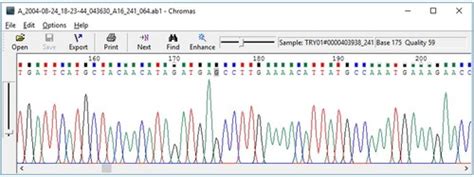 Lab 7 Bioinformatics Flashcards Quizlet