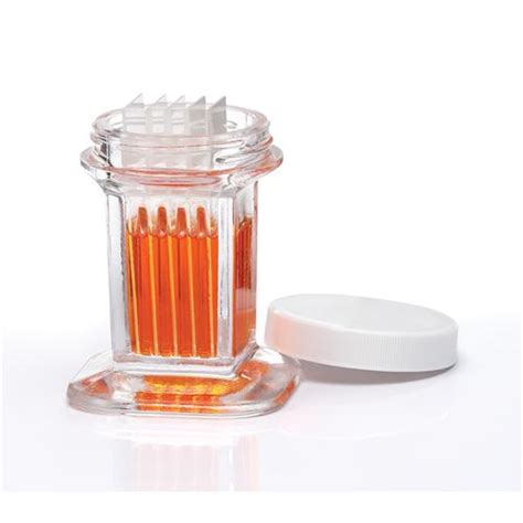 Coplin Staining Jars