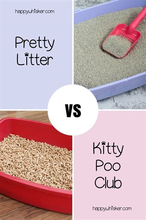 Pretty Litter Vs Kitty Poo Club: Which Cat Litter Is Better? | Pretty ...