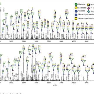 N Glycan Profiles Of Pxo And Matched Pdx Tumors A Representative