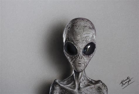 A Grey Alien - drawing - Marcello Barenghi