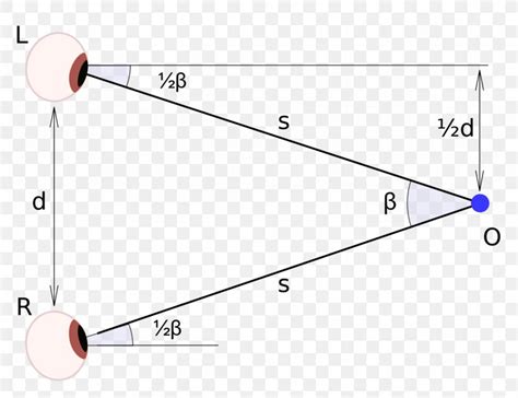 Angle Binocular Disparity Binocular Vision Visual Perception Eye, PNG ...