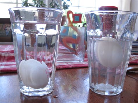 Egg Float In Salt Water Experiment