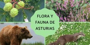 Flora Y Fauna De Andaluc A Caracter Sticas Y Fotos