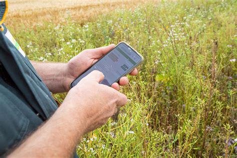 Syngenta Launches Agtech Collaboration And Accelerator Platform