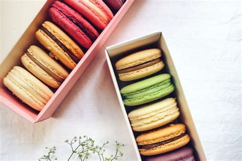 El Or Gen Y La Historia Del Macaron Pura Historia De Esta Incre Ble