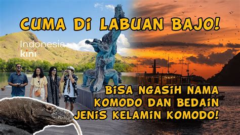 Indonesia Kini Cuma Di Labuan Bajo Bisa Ngasih Nama Dan Bedain