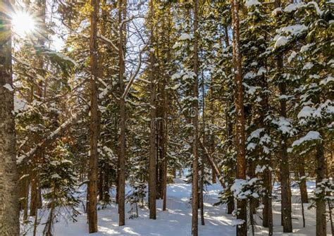 The Rocky Mountains in Winter. Rocky Mountain National Park Stock Image ...