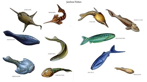 Jawless Fish | Jawless Fishes - Water Based Dinosaurs Wallpaper Image ...