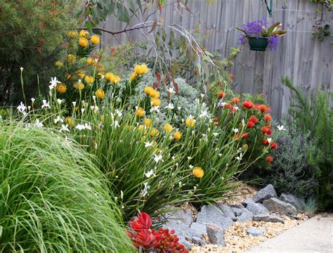 How To Create A Native Garden Backyard Boss