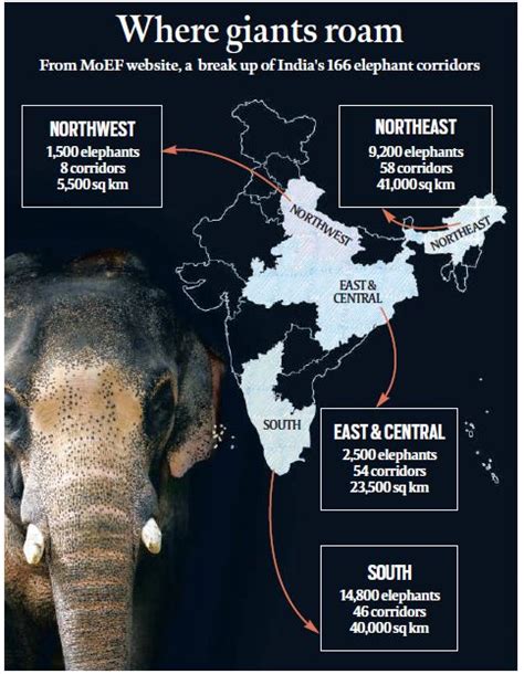 Elephant Conservation | Elephant Corridors, Project Elephant, MIKE ...