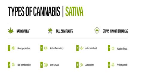 Indica vs. Sativa - Excelleaf