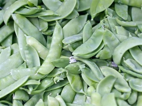 Types Of Peas Complete List And Guide 2023 Northern Nester