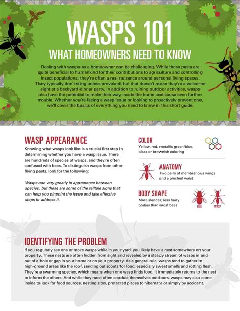 Wasps 101 What Homeowners Need To Know Orkin Canada Canada