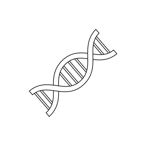 How To Draw Dna Step By Step