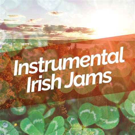 Instrumental Irish Jams Album By Instrumental Irish Music