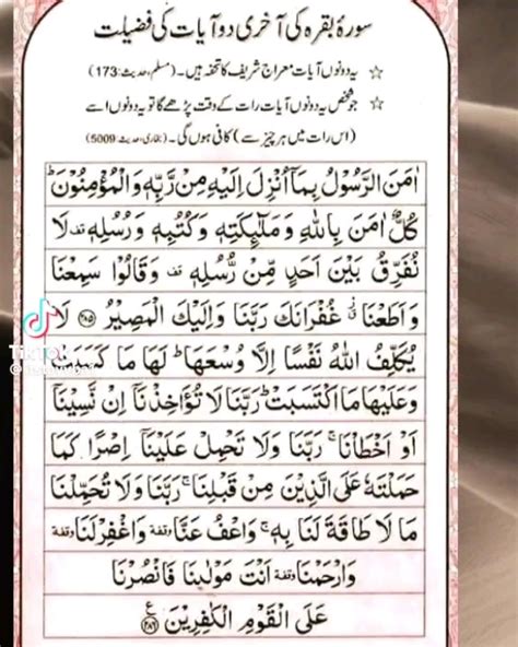 Surah E An Naba Read Holy Quran Online At Equraninstitute Com Learn To