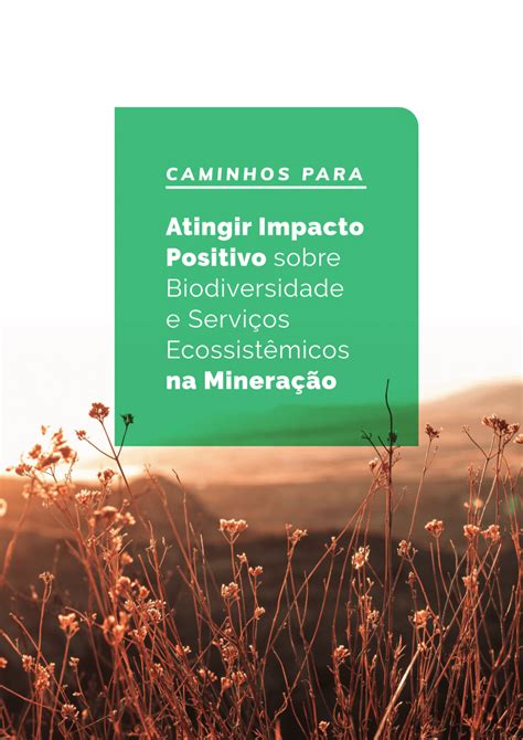 Pdf Caminhos Para Atingir Impacto Positivo Sobre Biodiversidade E