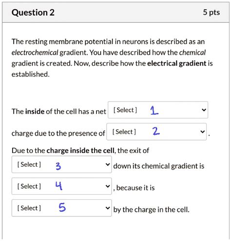 SOLVED Question 2 5 Pts The Resting Membrane Potential In Neurons Is