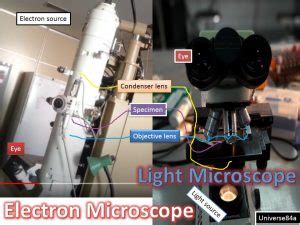 Electron Microscope Introduction Types Differences And Its Applications