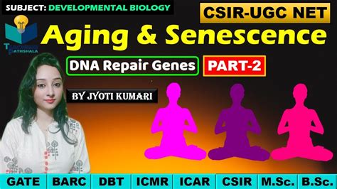 Aging And Senescence Dna Repair Genes Part 2 Csir Net Gate Jyoti Kumari Youtube