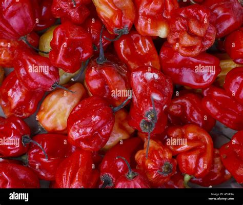 Red Chilli Hot Stock Photo Alamy