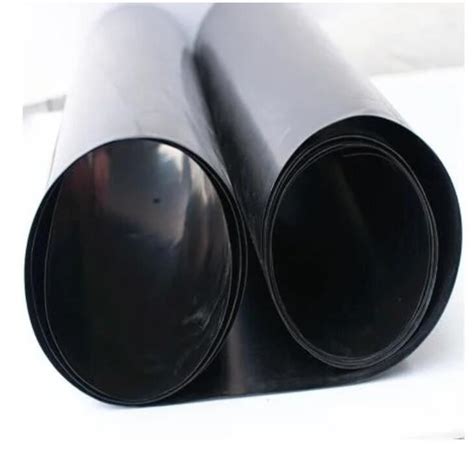 China HDPE Material Geomembrana HDPE Impermeable Geomembrane HDPE Fish