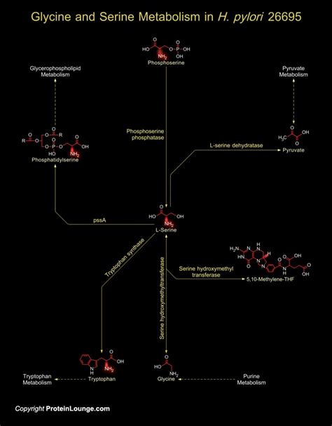 Biological Databases And Tools