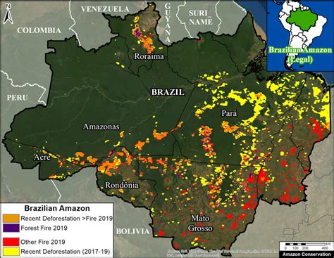 La Deforestaci N Precedi A Los Incendios En Una Inmensa Superficie