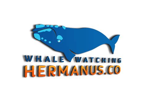 Whale Watching in Gansbaai FAQs - Whalewatchinghermanus.co