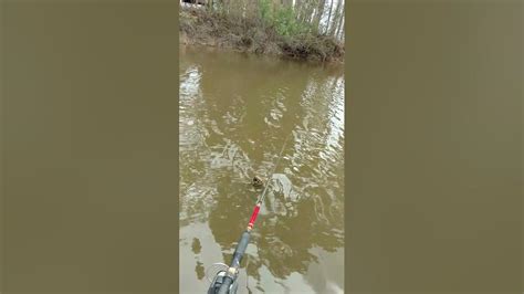 Crappie Fishing Lake Eufaula Al Youtube