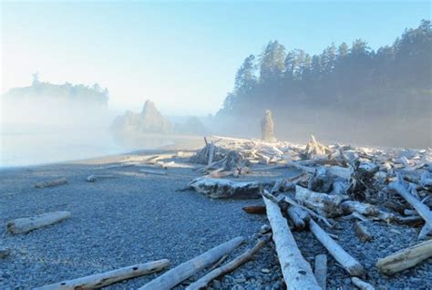 Seven Incredible Washington State Road Trips For Natural Scenery Cool