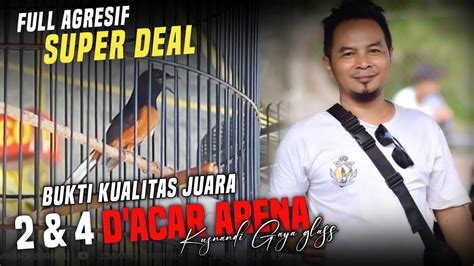 MURAI MUDA SUPER DEAL Milik Sunandi Gaya Glas Babat Juara 2 4 Tiket